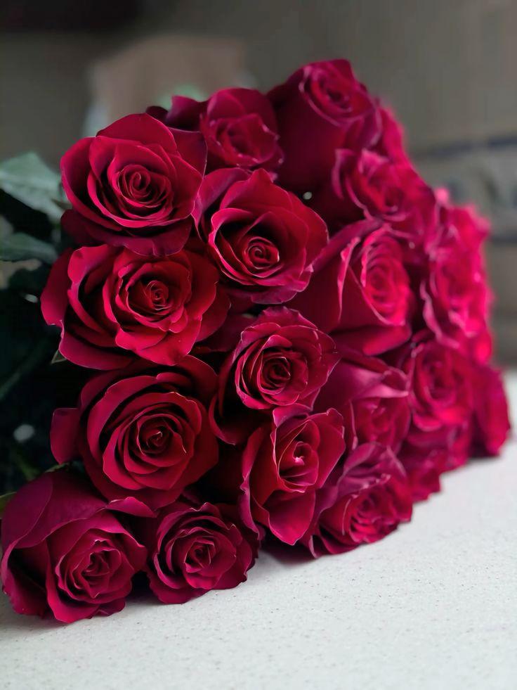 Corporate meeting room with carefully timed floral arrangements that maintain elegance throughout business hours